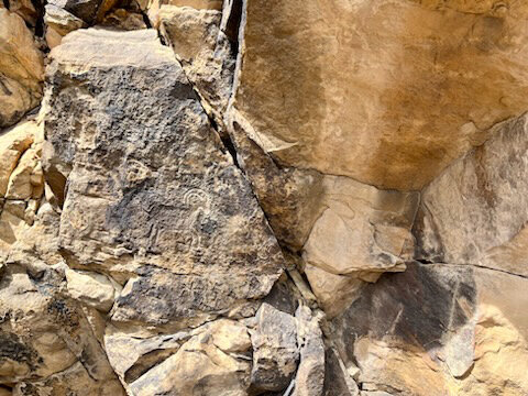 A petroglyph of a sheep on the canyon wall.