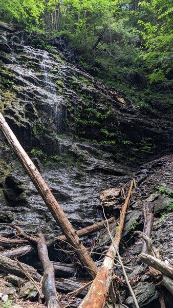 Falls at Deer Hill Trail.