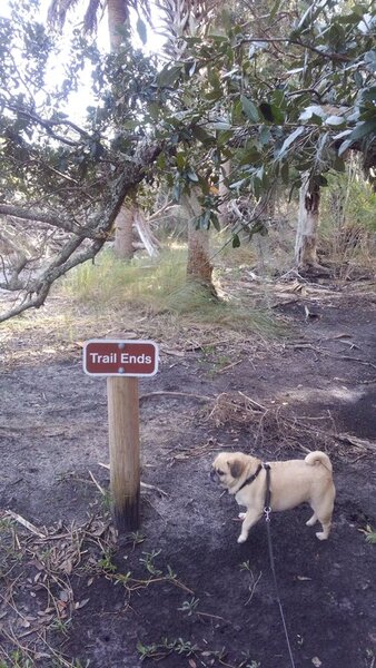 1st time I ever came across an "End of Trail' marker...