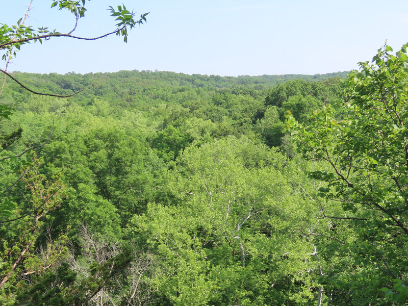 View from Coyote Bluff into Gans Creek drainage in June.