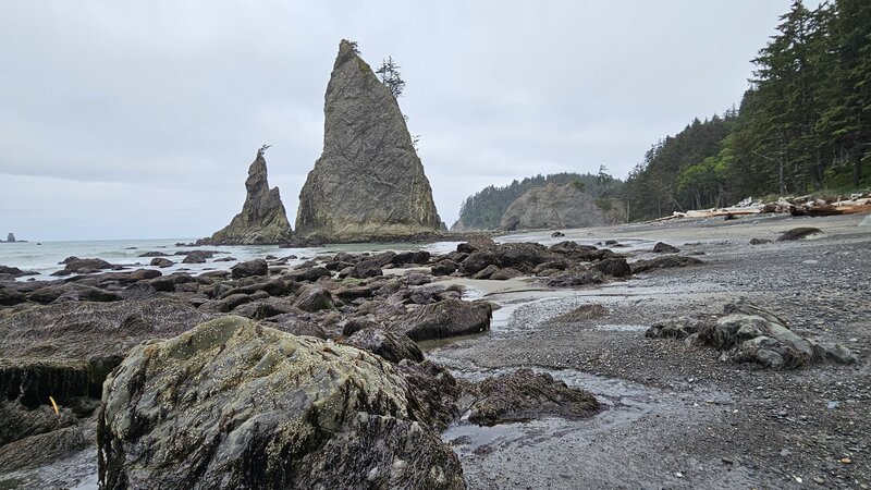 View from the trail.