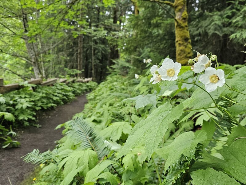 View from the trail.