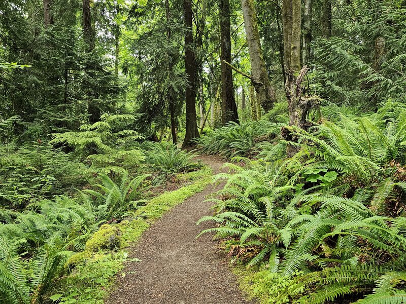 View from the trail.