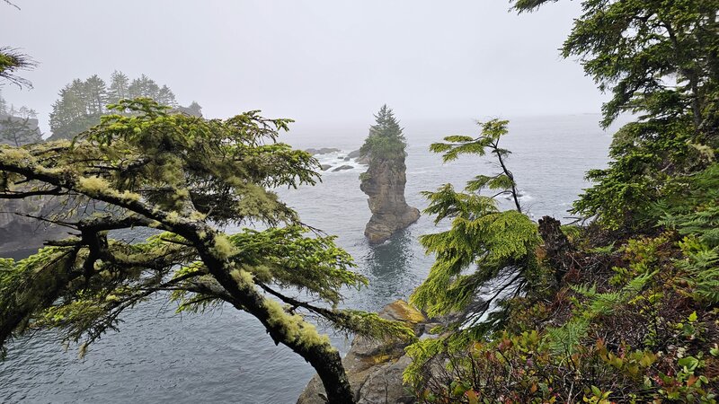 View from the trail area.