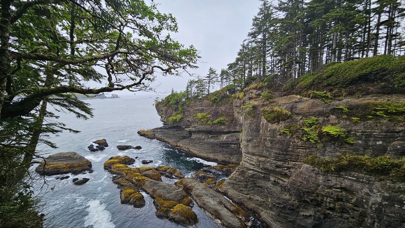 View from the trail area.