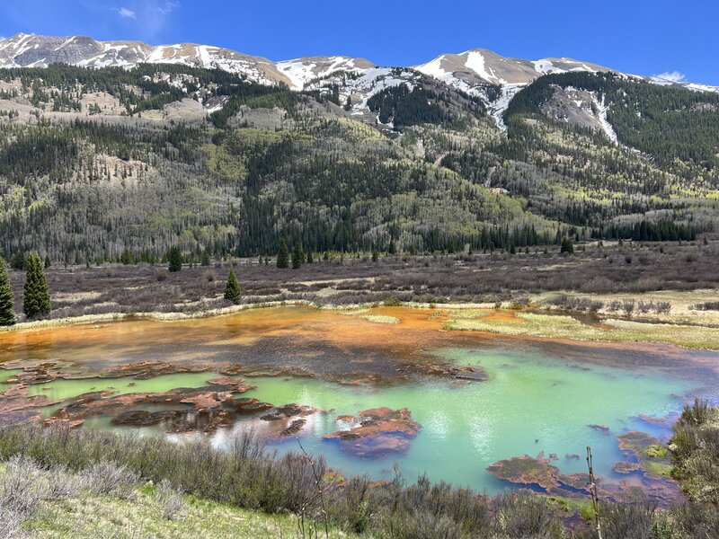 Pond with incredibly striking colors.