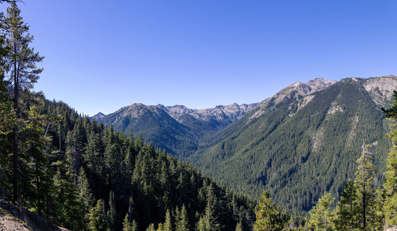 View up the Heather Creek drainage towards Mount Mystery.