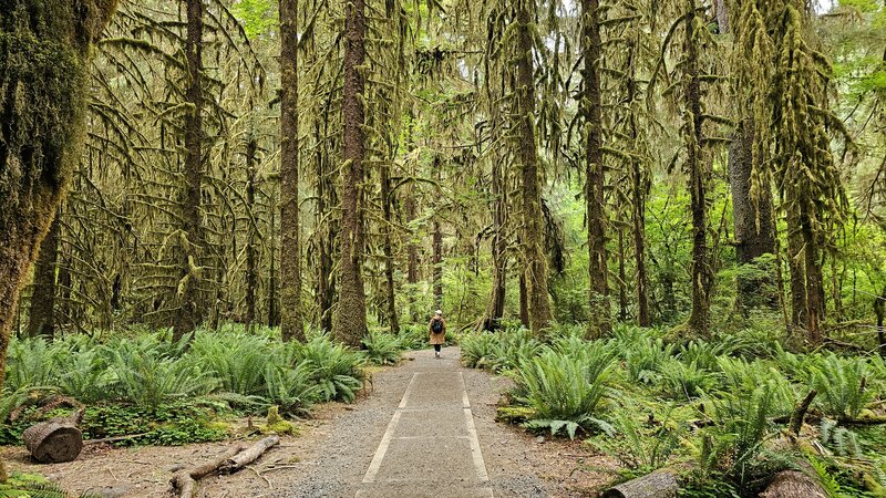 View from the trail.