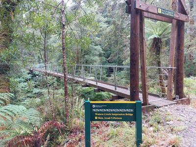 Bridge cutting through the verdant forest.