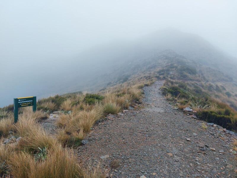 Intersection between Croesus and Paparoa Track.