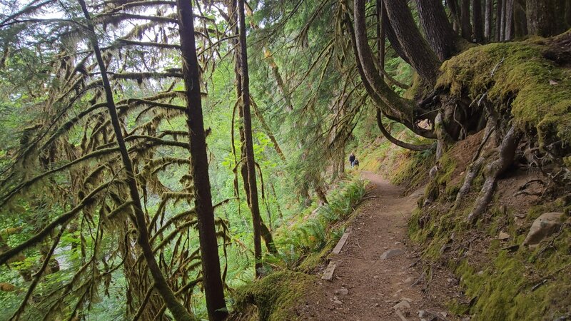 View from the trail.