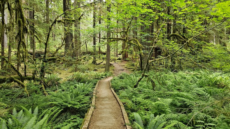 View from the trail.