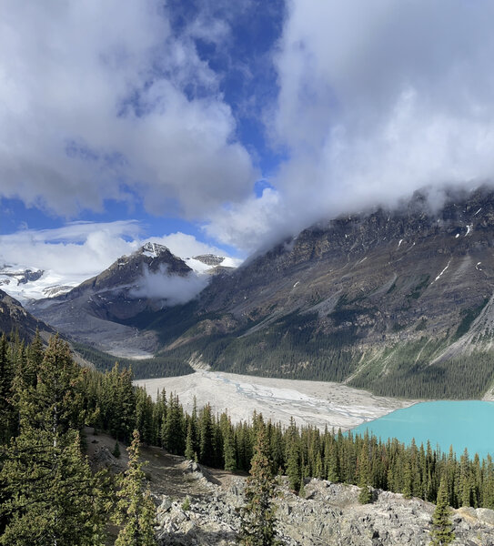 View of Peyto Glacier and Peyto Creek waters flowing into Peyto Lake.