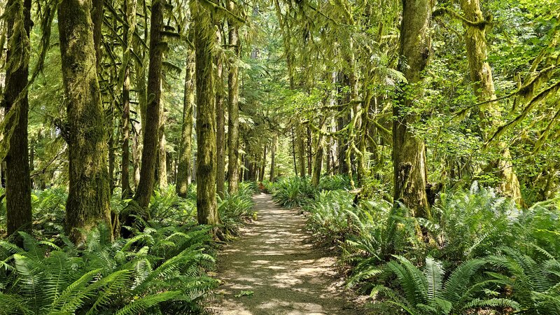 View from the trail.