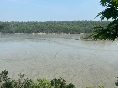 View of Longs Reach from the top of the cliff.
