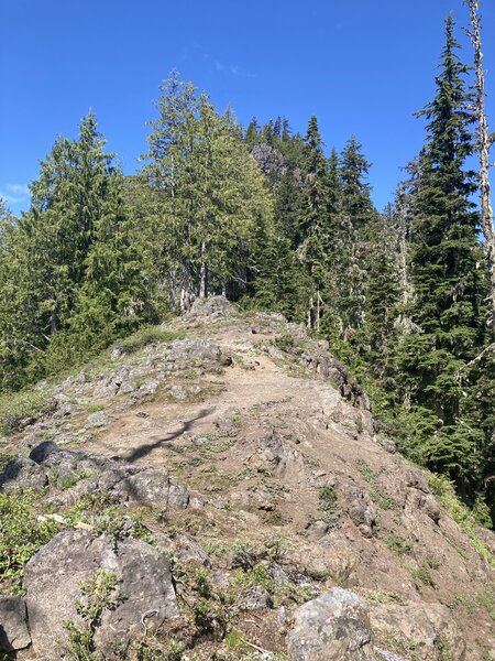 Open ridge, view of the top.