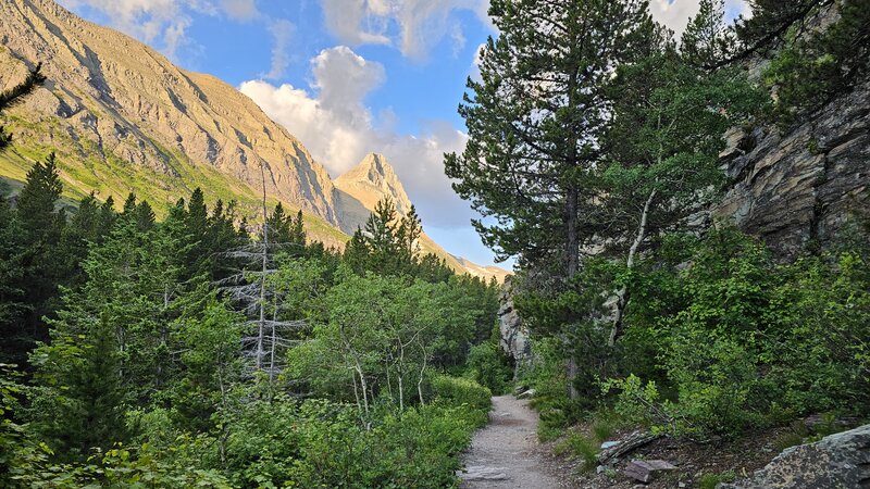 Swiftcurrent Pass Trail