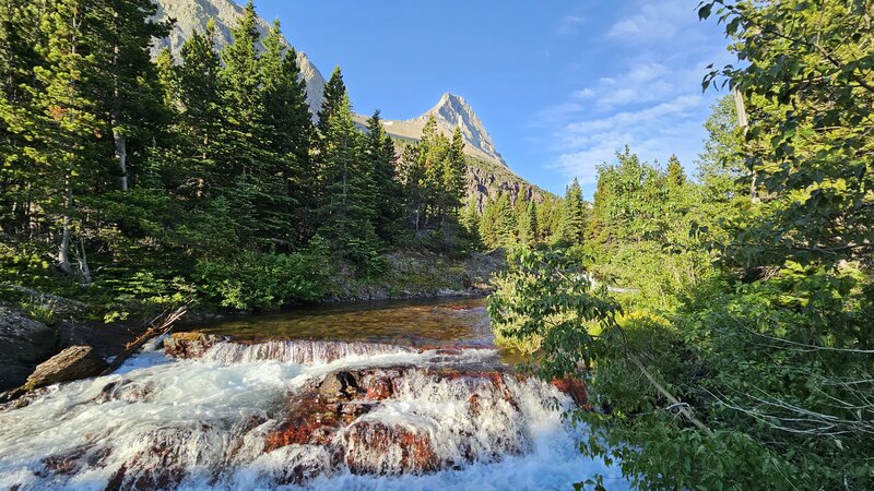 Swiftcurrent Pass Trail