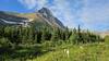 Swiftcurrent Pass Trail.