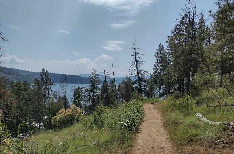 Views of Lake Coeur d'Alene when traveling south on the east side of Tubbs Hill.
