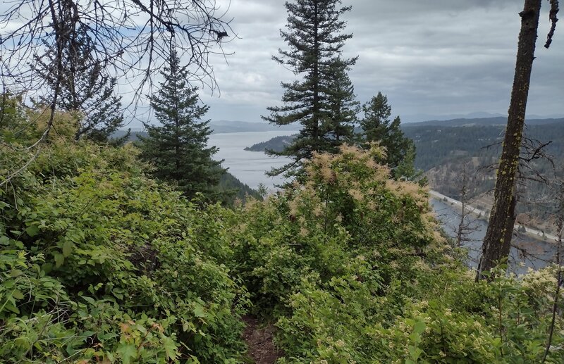 Near the top of Lost Man Trail, Lake Coeur d'Alene is seen in the distance to the west. Nearby, below, is Wolf Lodge Bay, an east arm of Lake Coeur d'Alene.