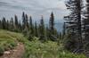 The views open up as Watershed Crest Trail climbs into meadows. Here we see Lake Pend Oreille in the distance to the southeast.