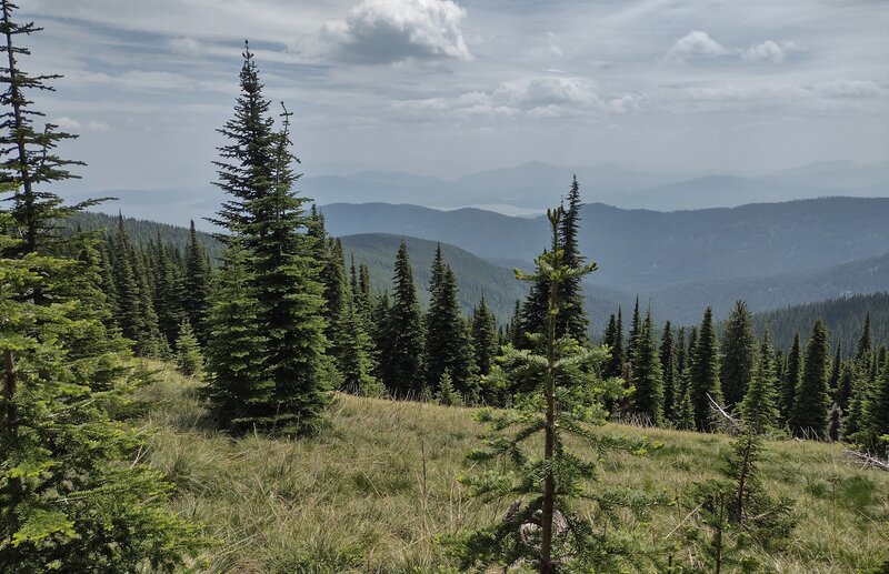 Lake Pend Oreille is seen in the distance to the southeast from the high meadows of Watershed Crest Trail.