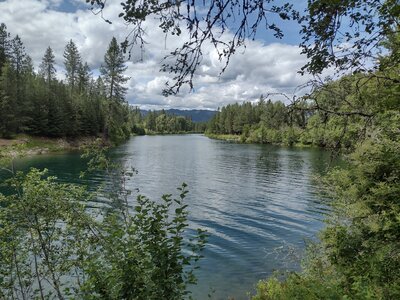 Coeur d'Alene River. Looking upstream from River Bend wayside, mile 38.5 on Trail of the Coeur d'Alenes.