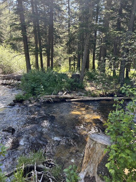 River crossing to Cave Creek Trail.