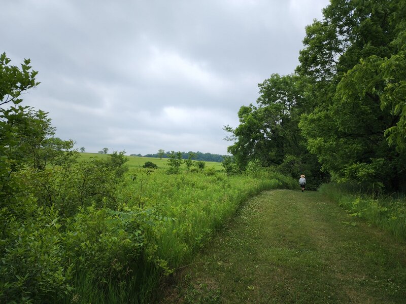 Along the prairie where the Havenridge Trail turns north.