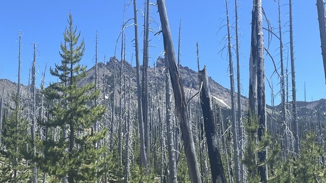 View of Three Finger Jack from the trail.