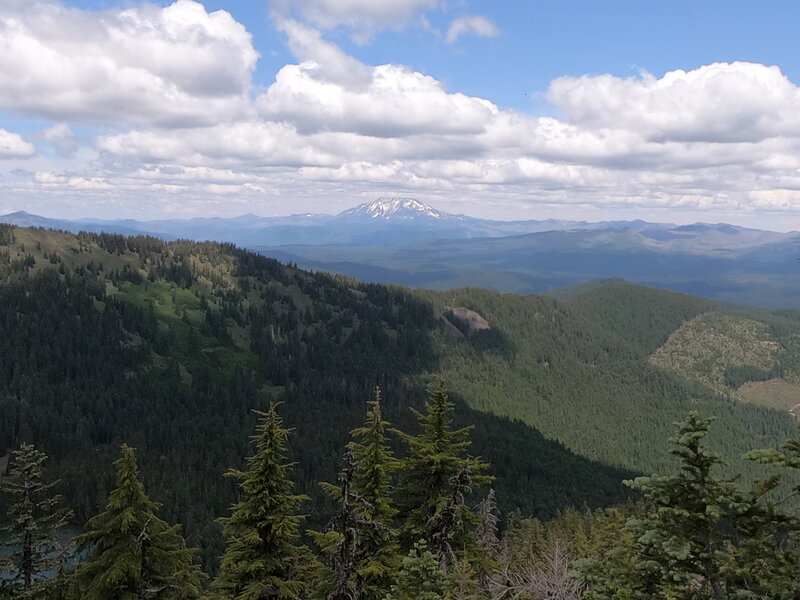 Mt Jefferson from summit (6/27/23).