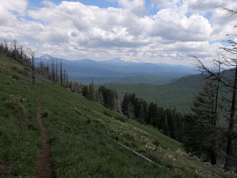 Mt Washington and 3 Sisters from trail (6/27/23).