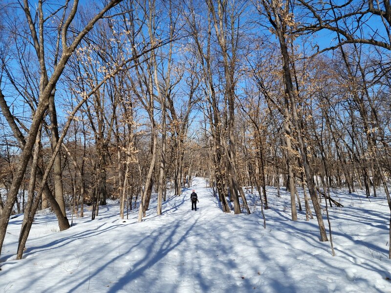 On the Aspen Trail in late winter.