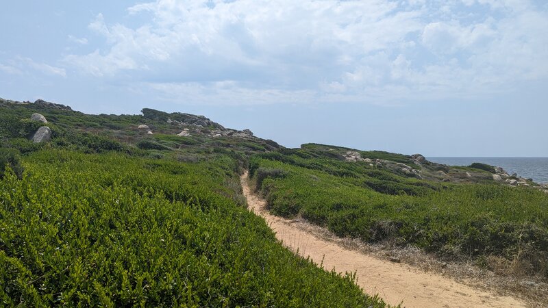 Bay of Figari - Punta di Ventilegne