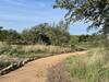 The half-mile trail of Live Oak Loop.