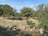 Granite boulders and prickly pear.