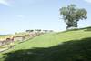 At the end of the trail, the trail emerges at the Water Batteries, which have impressive views of the Cumberland River.