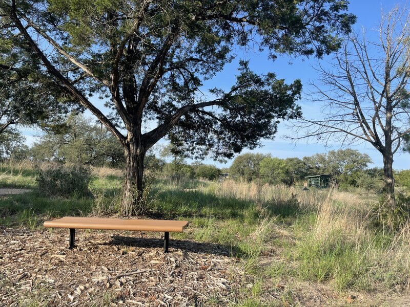 A birding bench looks out to the Bluestem Bird Blind at Horseshoe Bay Nature Park.