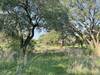 A bench beneath along Live Oak Loop at Horseshoe Bay Nature Park.