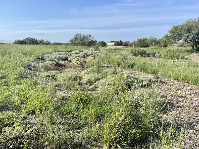 A contour swale in the prairie restoration at Horseshoe Bay Nature Park.