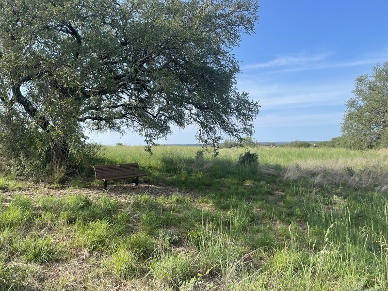 Bench along Live Oak Loop.