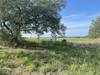 Bench along Live Oak Loop.