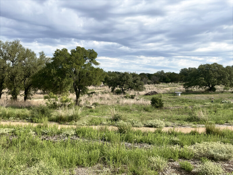 The half-mile trail, Live Oak Loop, at Horseshoe Bay Nature Park.