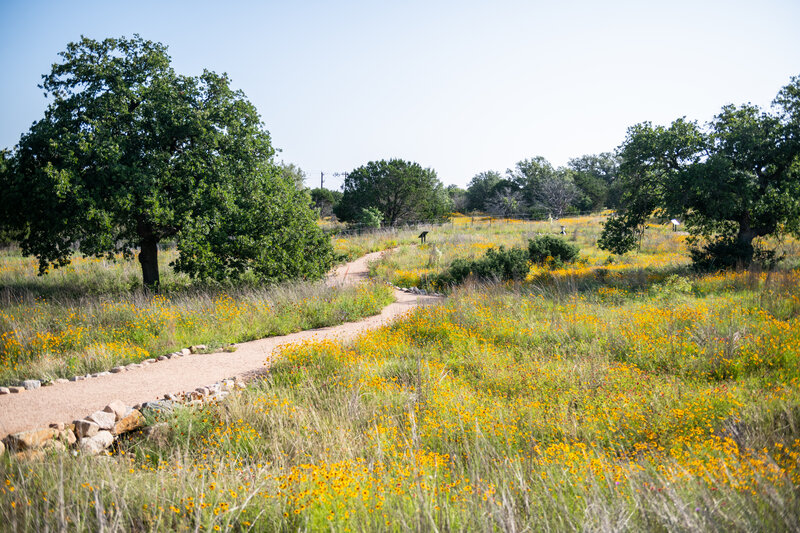 Easy half-mile walking trail