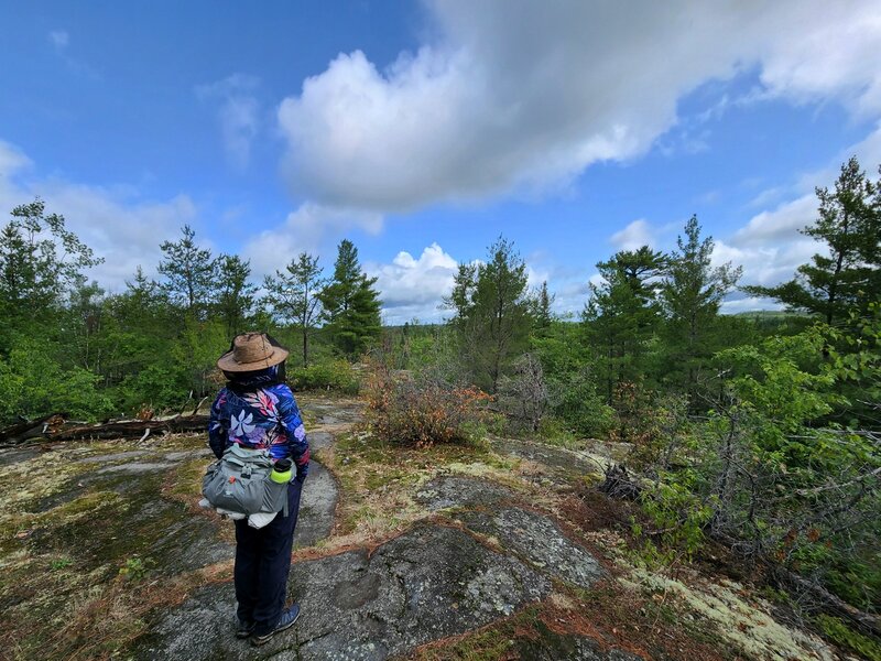 On the Snowbank Trail