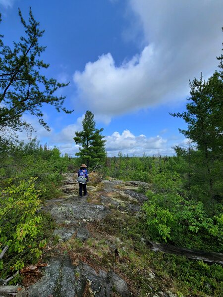 On the Snowbank Trail