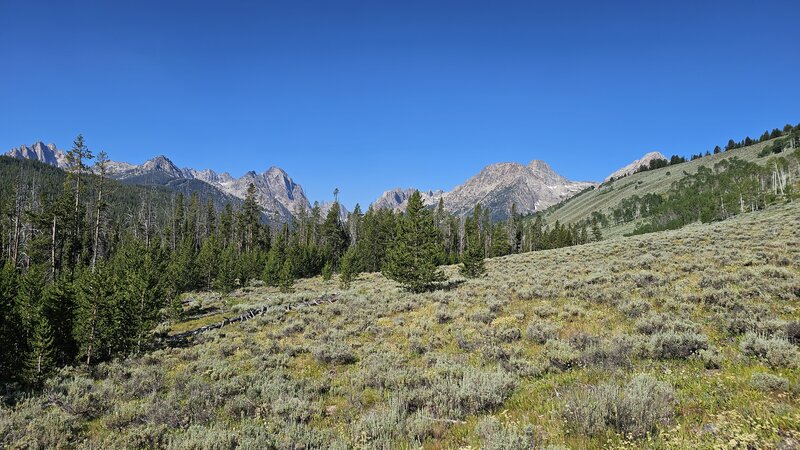 View from the trail area.