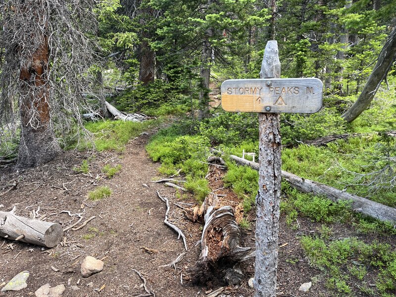 Stormy Peaks (North) CG Sign