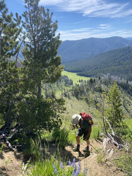 Looking back down the trail.